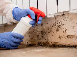 Best Mold Odor Removal Services  in Carlinvle, IL